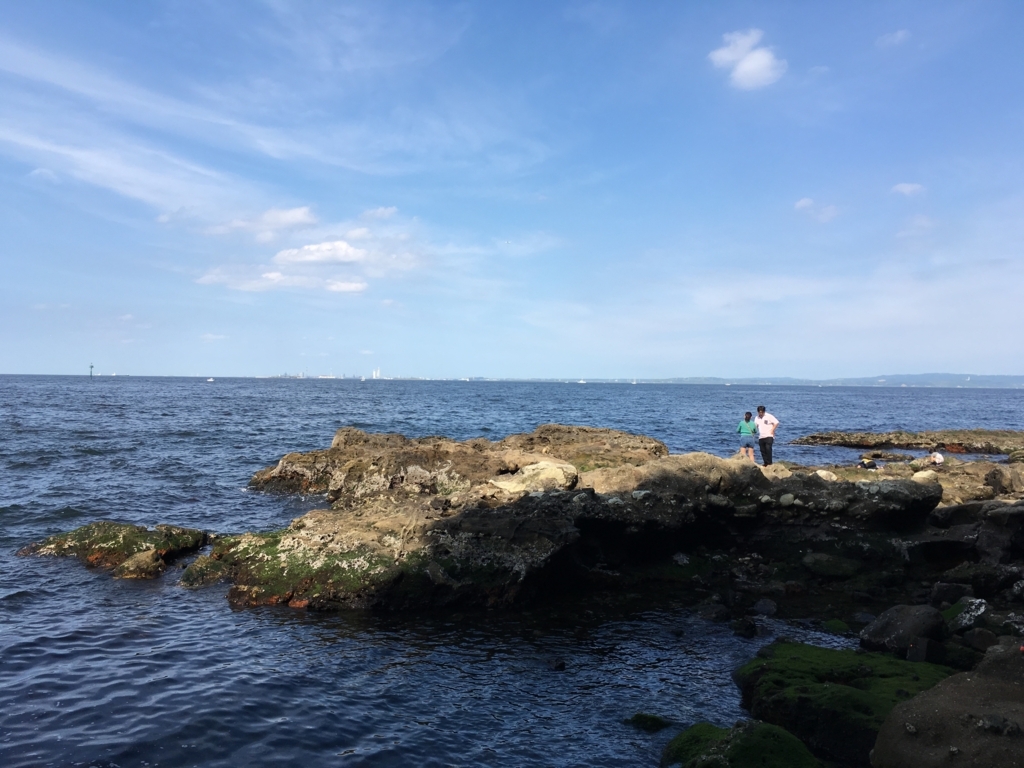 f:id:tanaka653:20170620215924j:plain f:id:tanaka653:20170620215924j:plain