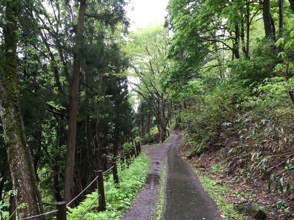 f:id:tanaka653:20180519155625j:plain f:id:tanaka653:20180519155625j:plain