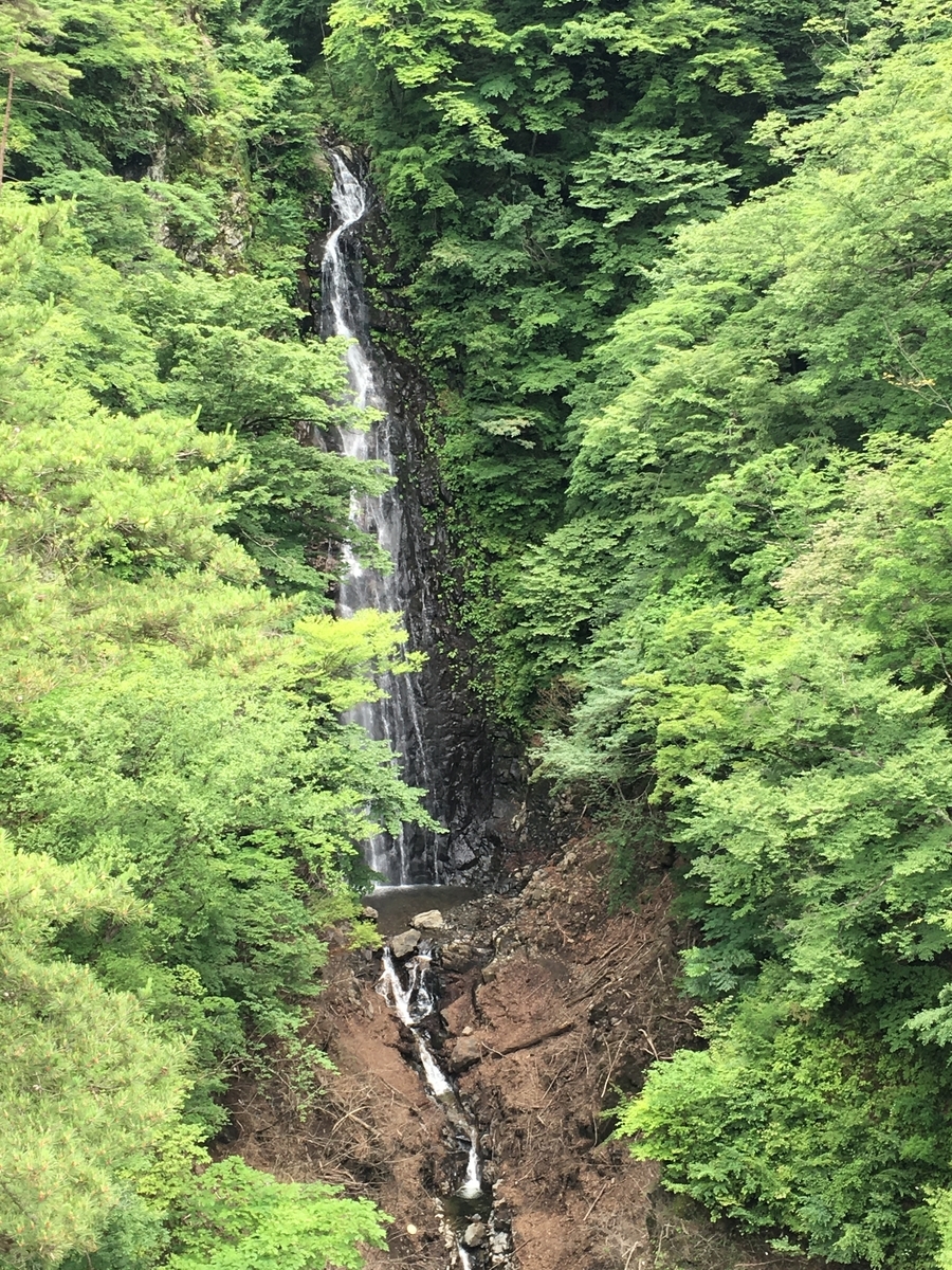 f:id:tanaka653:20210627164831j:plain