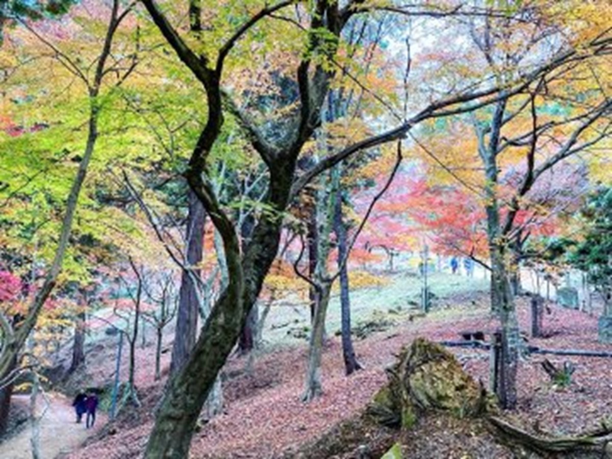 f:id:tanaka6733:20211229233243j:plain