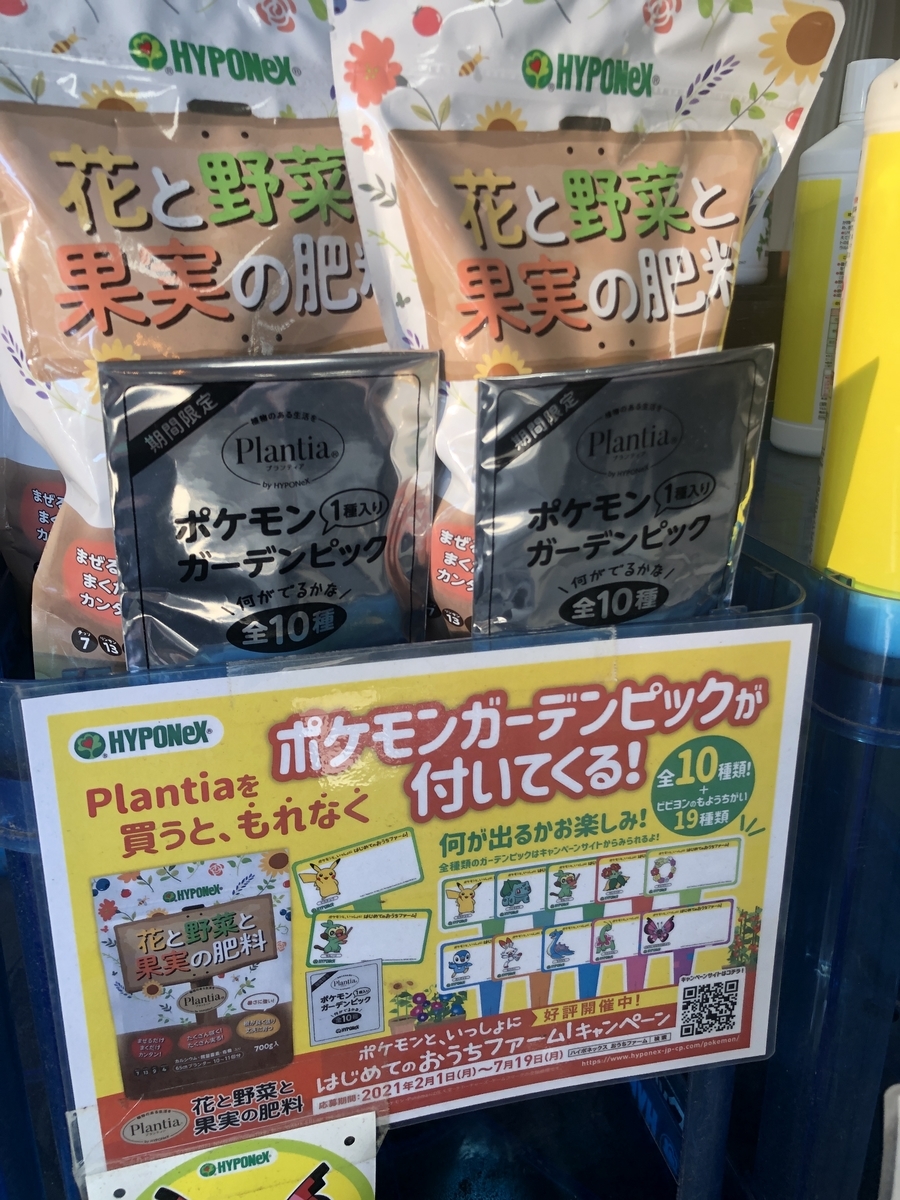 f:id:tanaka_kirei:20211001130910j:plain
