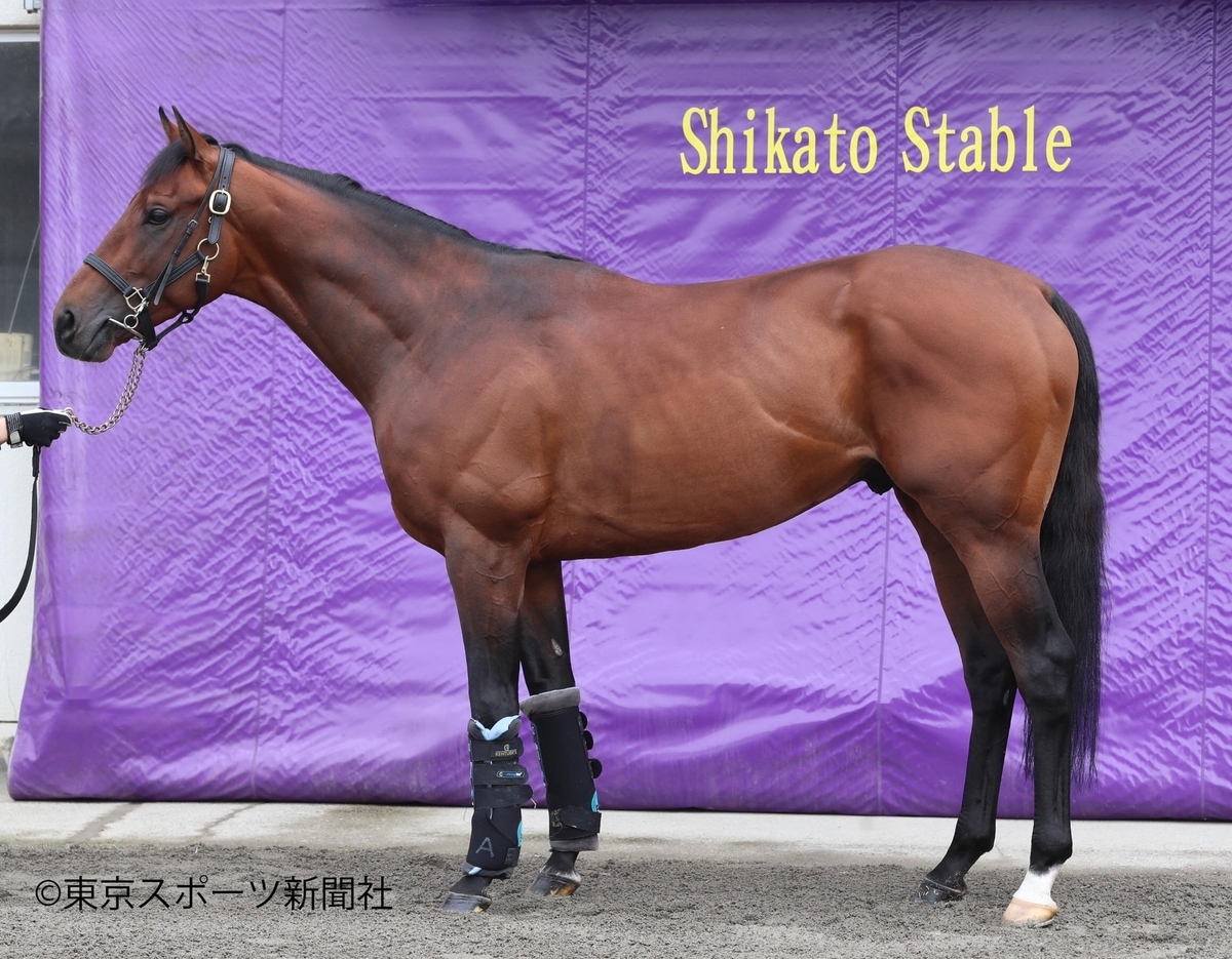 f:id:tanaka_oh_tanaka:20220411200707j:plain