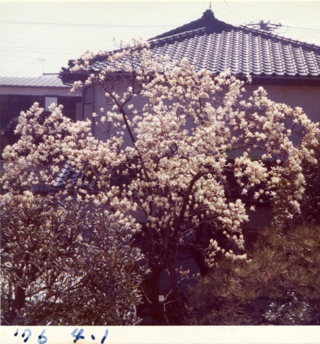 f:id:tanakairoonpu:20220212040625j:plain