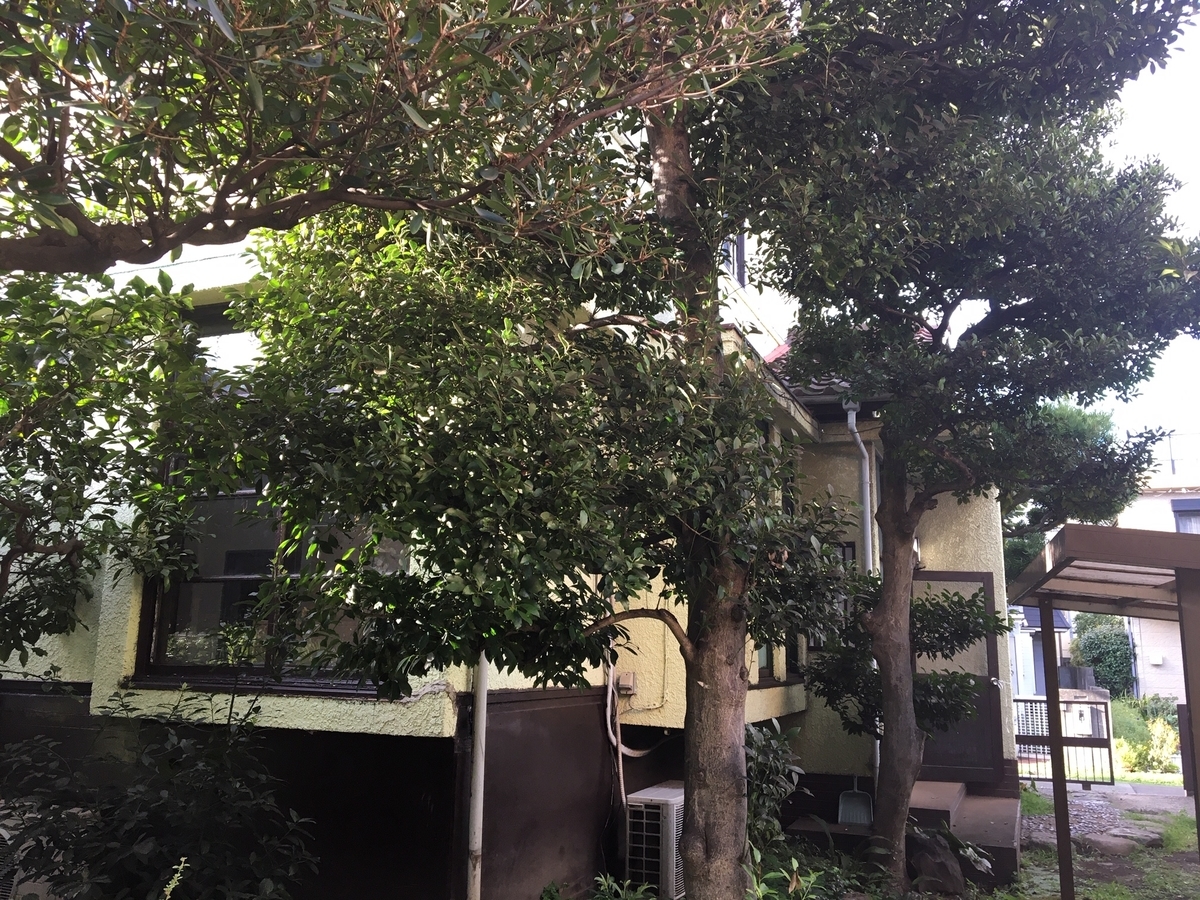 f:id:tanakairoonpu:20220212040849j:plain