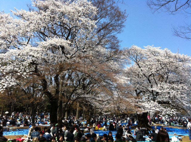 f:id:tanakanakanaka008:20120408114206j:plain