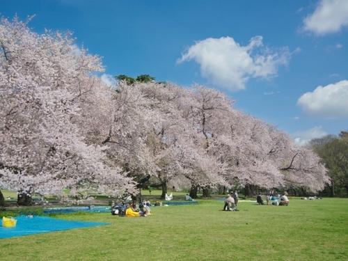 f:id:tanakanakanaka008:20200312101320j:plain