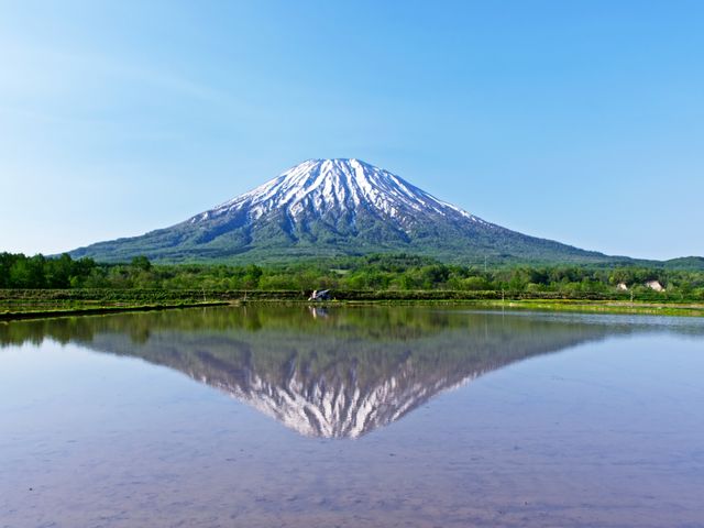 f:id:tanakanakanaka008:20200326121131j:plain