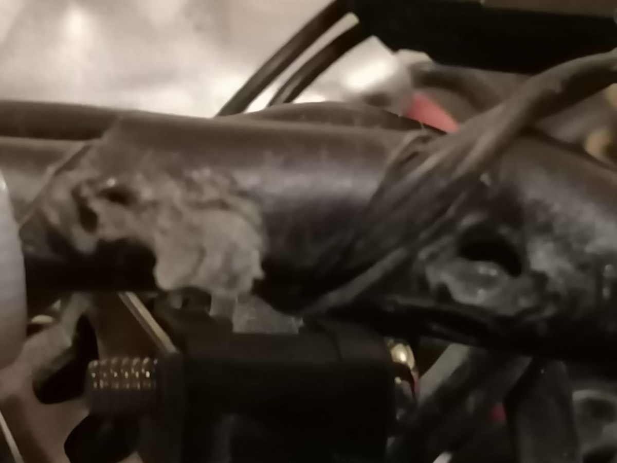 f:id:tanakarcc:20191210224423j:plain