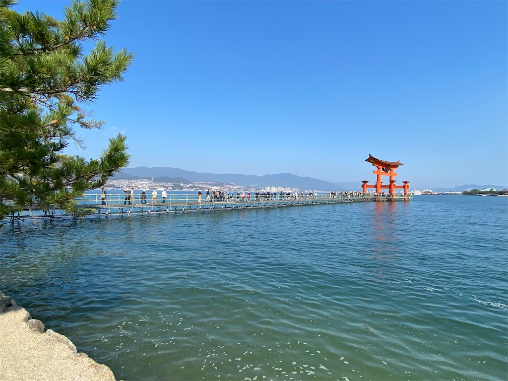 f:id:tanakas5:20221110152313j:image f:id:tanakas5:20221110152313j:image