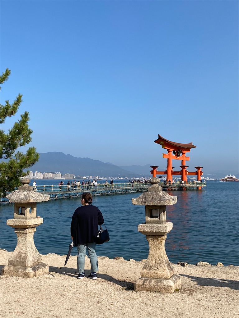 f:id:tanakas5:20221111051148j:image f:id:tanakas5:20221111051148j:image