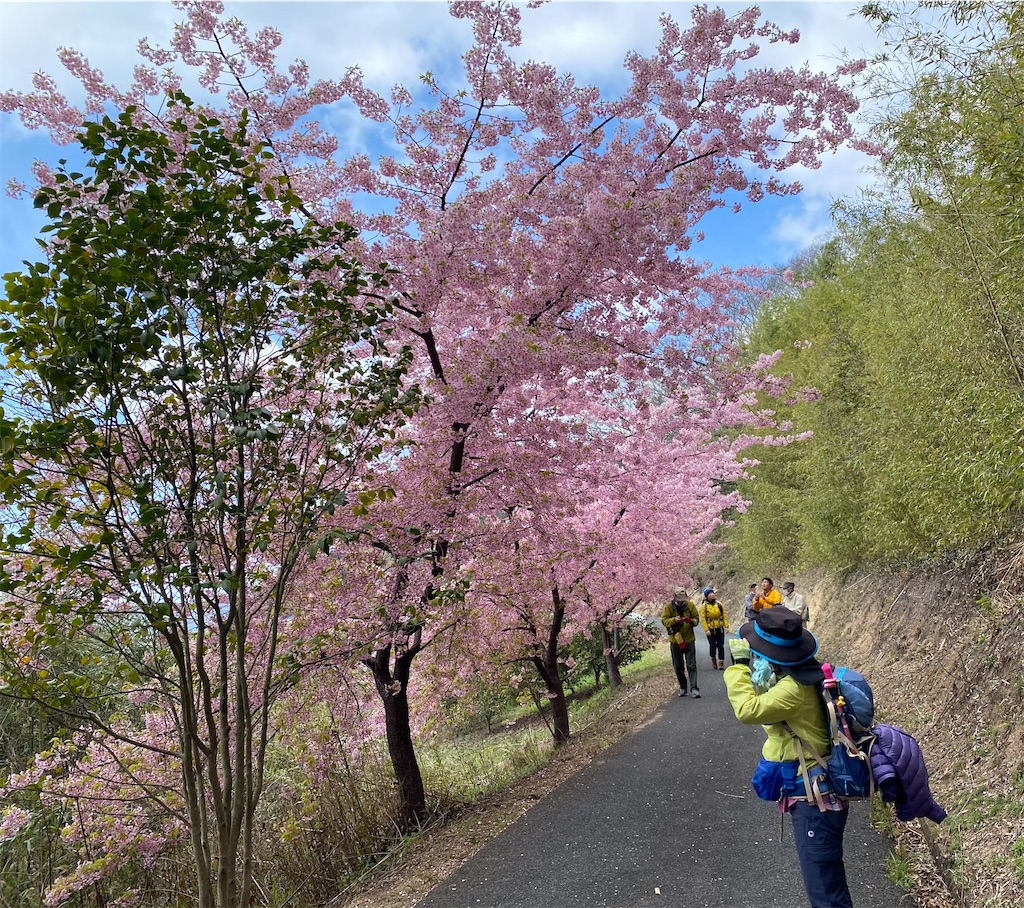 f:id:tanakas5:20240313094347j:image f:id:tanakas5:20240313094347j:image