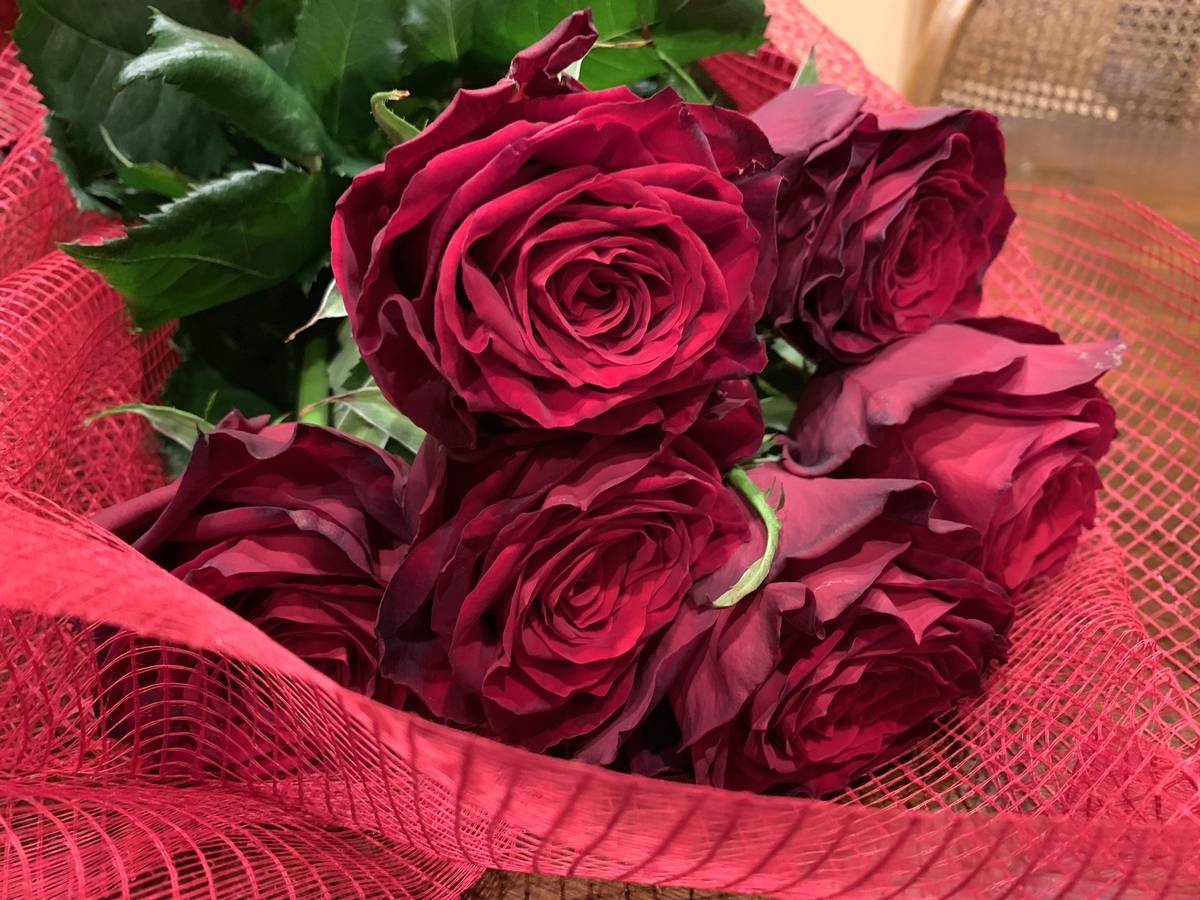 f:id:tanakasachika08:20190609092714j:plain