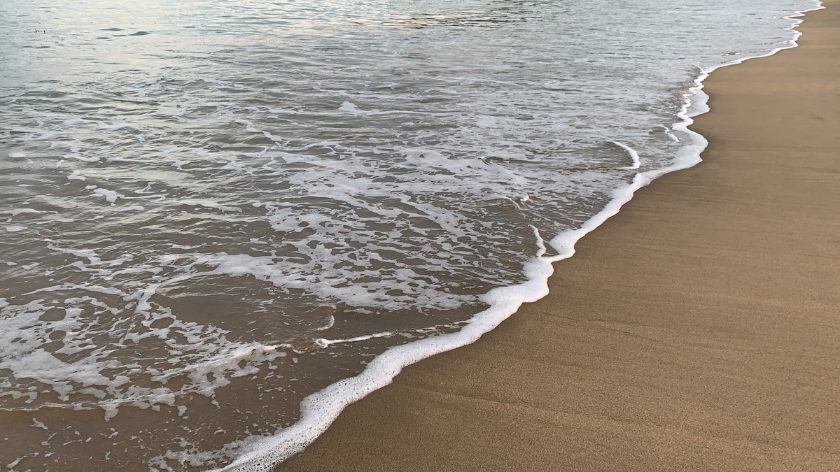 f:id:tanakasachika08:20190813181603j:plain
