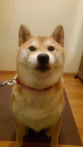 f:id:tanakason:20201130030325p:plain