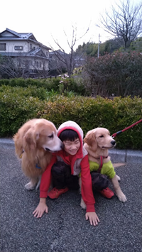 f:id:tanakason:20201130030400p:plain
