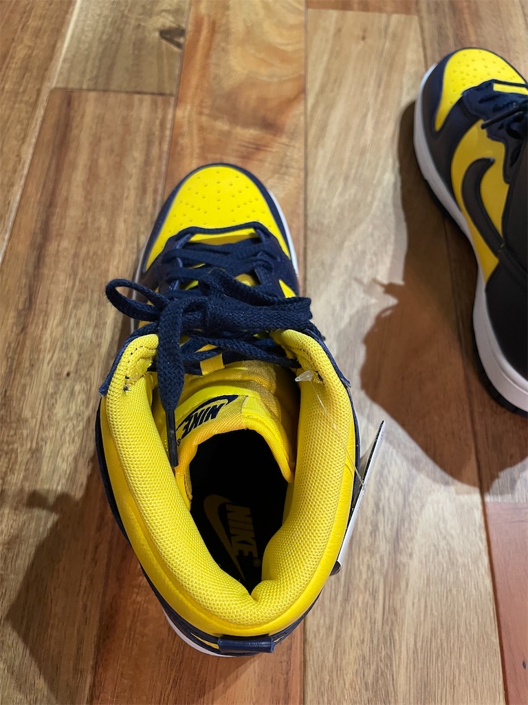 NIKE DUNK HI RETRO SE 