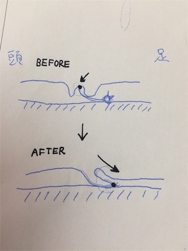 f:id:tananaman:20190310205807j:image