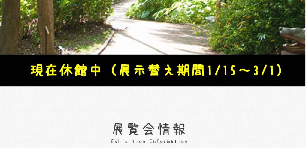 f:id:tanapresin:20190201034050j:plain