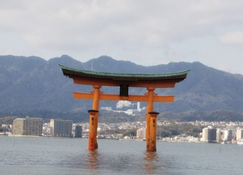 f:id:tanapresin:20190201035535j:plain