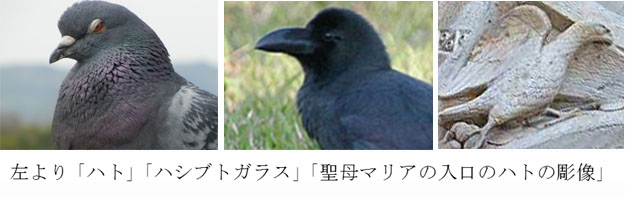 パリのノートルダム大聖堂の夢解釈 ５ Tanasuexの部屋