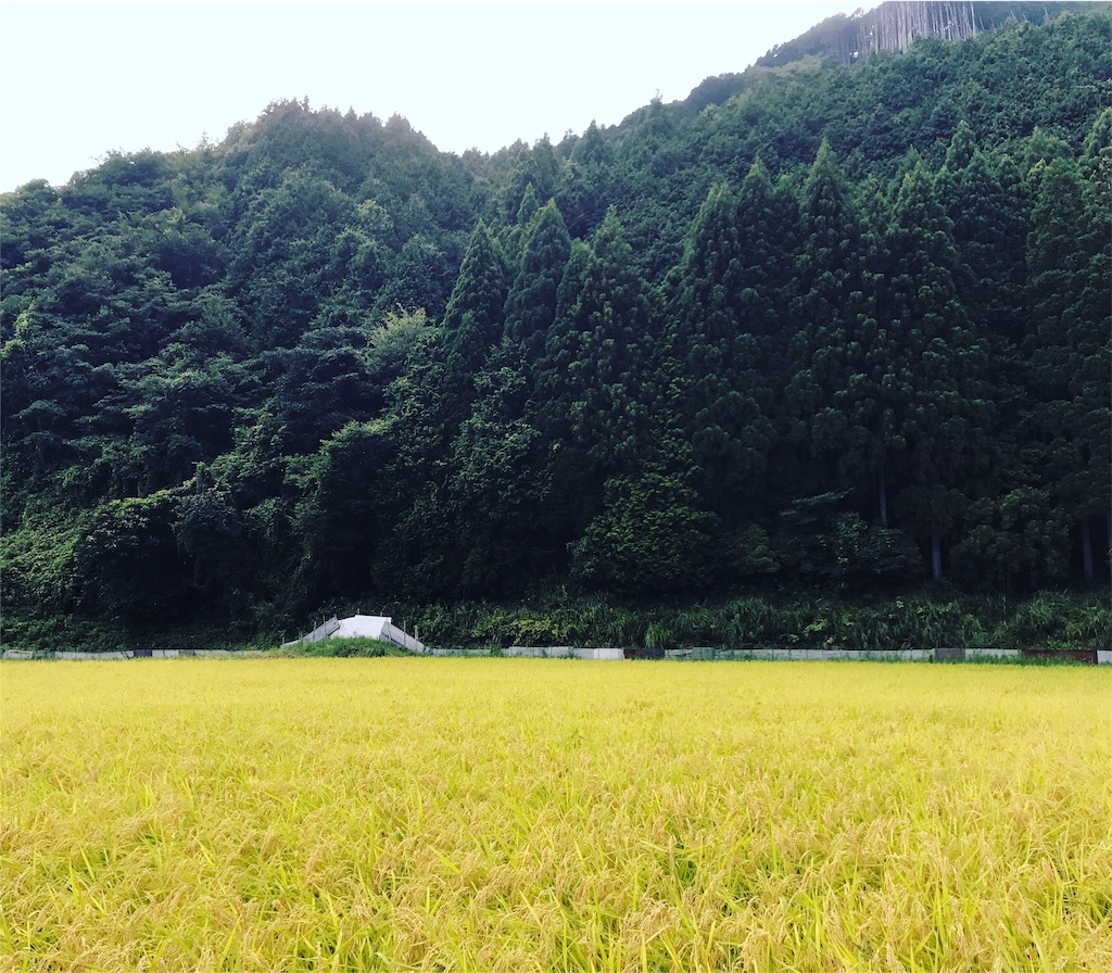 f:id:tanazon:20190901232422j:image