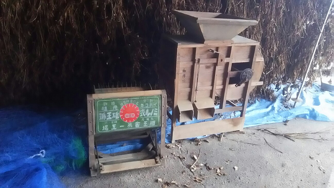 黒豆を「扱く(こく)」 - 丹波ほっこり農園Blog