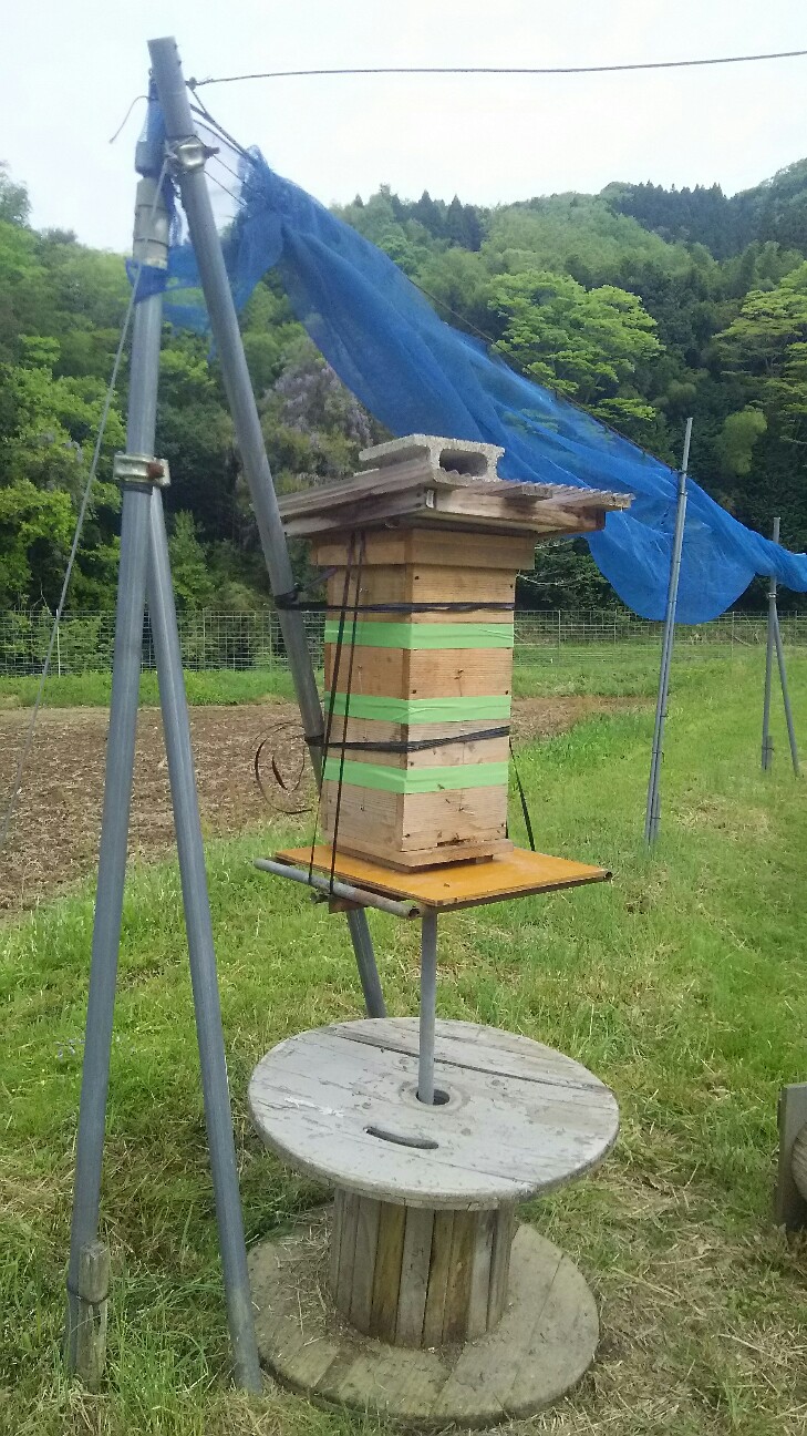 f:id:tanba-hokkori-noen:20180501013209j:image f:id:tanba-hokkori-noen:20180501013209j:image