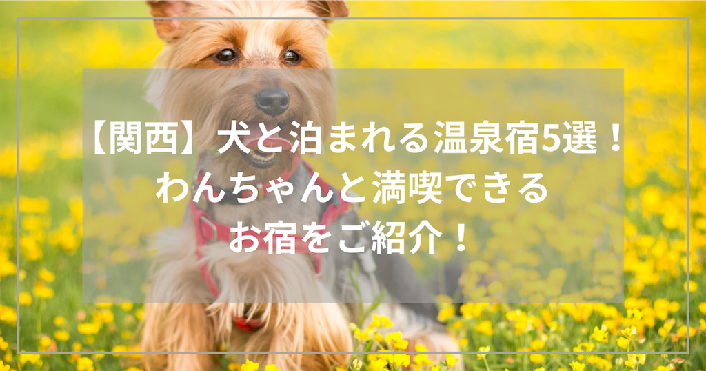f:id:tanbatom0803:20250509131722p:image