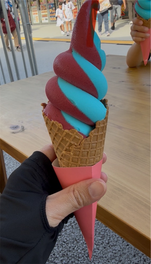 f:id:tanbatom0803:20250902202047j:image