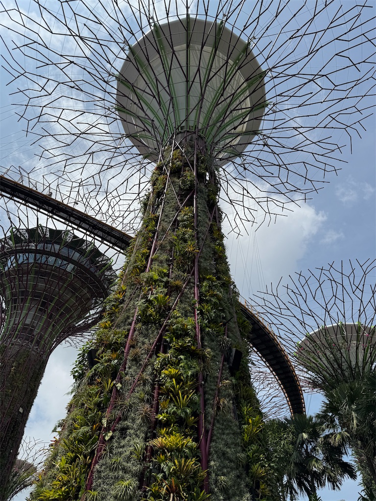 f:id:tanbatom0803:20251026153027j:image f:id:tanbatom0803:20251026153027j:image