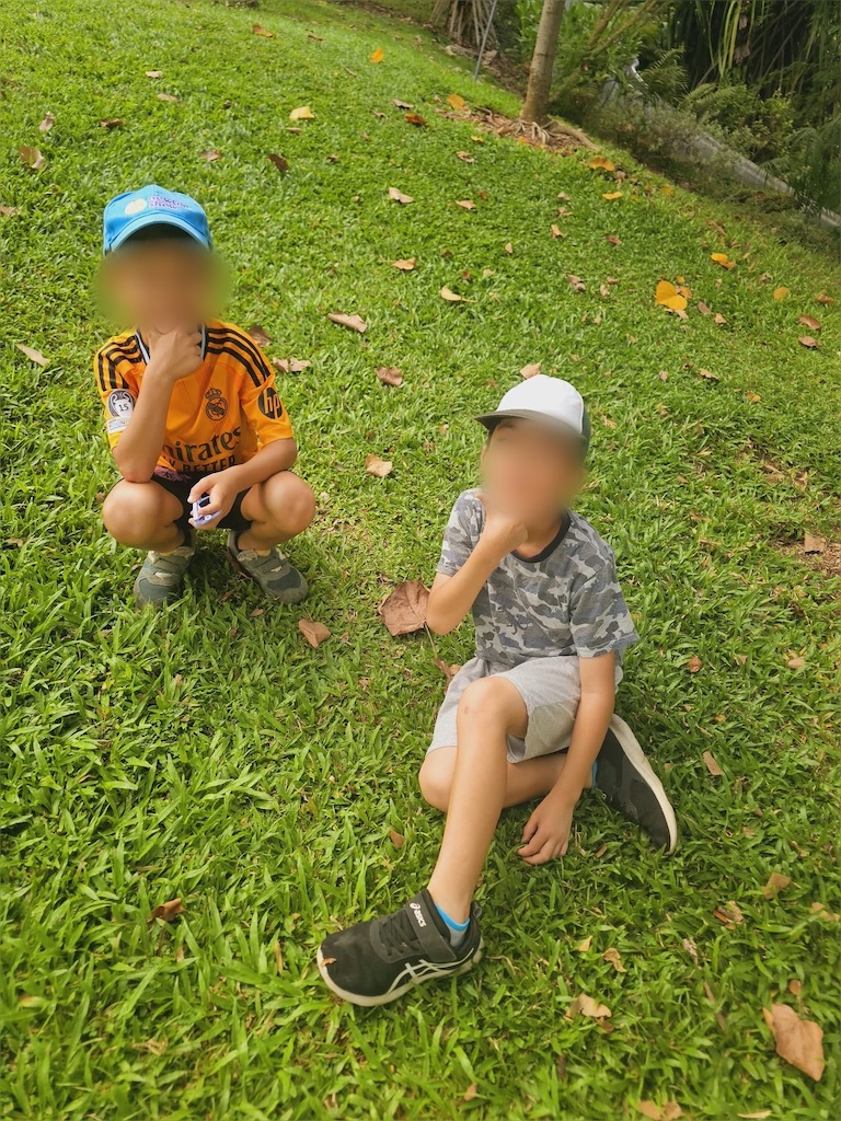 f:id:tanbatom0803:20251026180324j:image f:id:tanbatom0803:20251026180324j:image