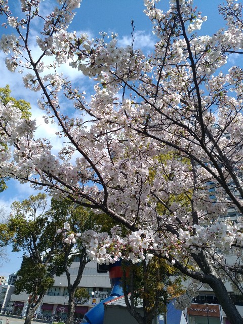 f:id:tanchan1201:20200403221605j:image