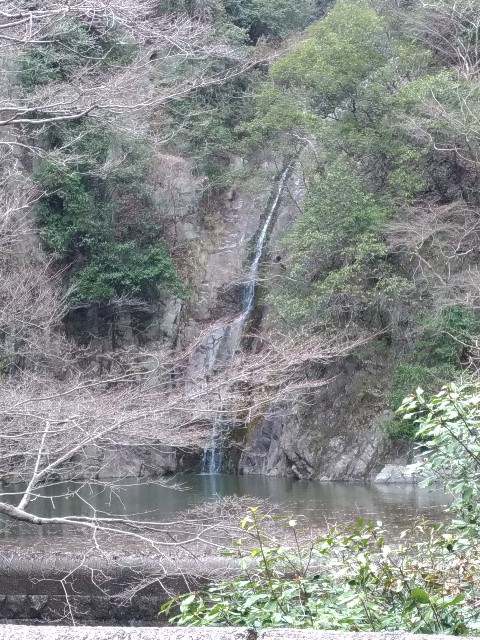 f:id:tanchan1201:20210319160528j:image