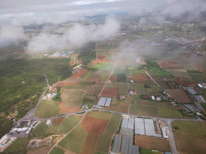 f:id:tancolog:20210611205144j:plain
