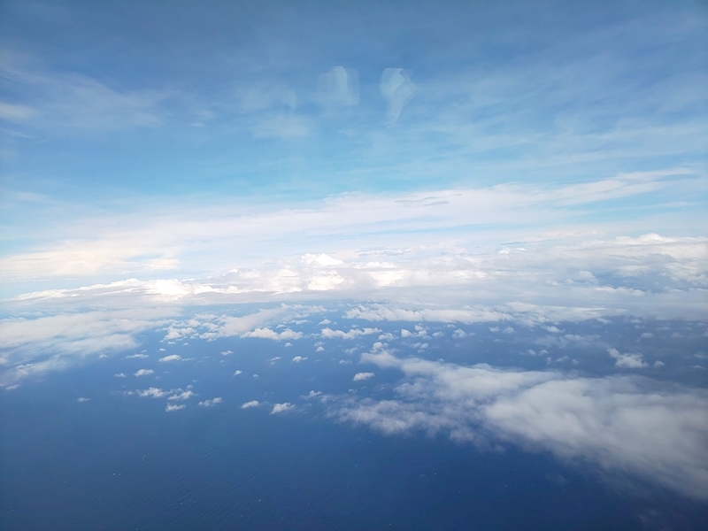 f:id:tancolog:20210611205152j:plain