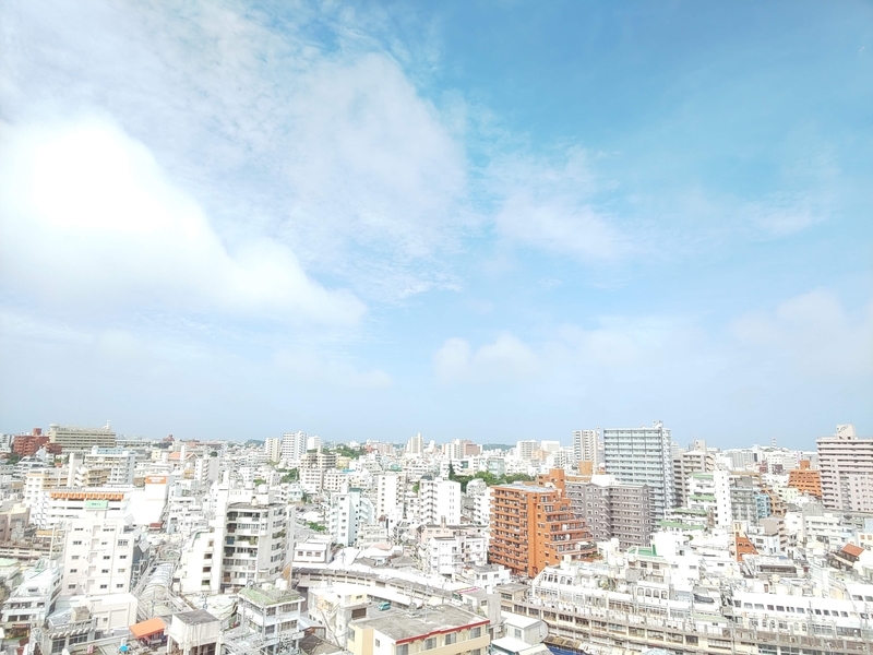 f:id:tancolog:20210619144604j:plain