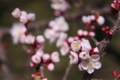 20100314131245