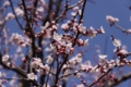 20100314131303
