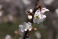 20100314135410