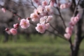 20100314140218
