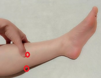 f:id:tanegashimapi:20170829130015j:plain f:id:tanegashimapi:20170829130015j:plain