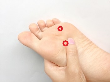 f:id:tanegashimapi:20170829164248j:plain f:id:tanegashimapi:20170829164248j:plain