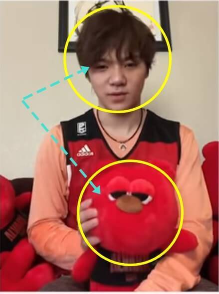 f:id:tanegashimapi:20200503141954j:plain f:id:tanegashimapi:20200503141954j:plain