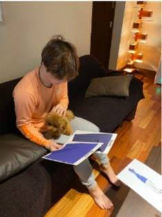 f:id:tanegashimapi:20200529203455j:plain f:id:tanegashimapi:20200529203455j:plain