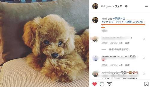 f:id:tanegashimapi:20200529204944j:plain f:id:tanegashimapi:20200529204944j:plain