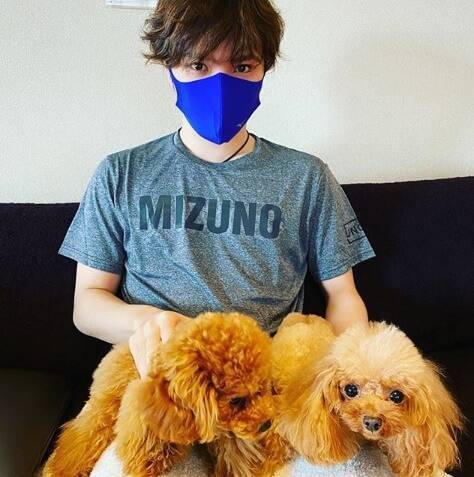 f:id:tanegashimapi:20200617185957j:plain f:id:tanegashimapi:20200617185957j:plain