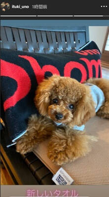 f:id:tanegashimapi:20200728150046j:plain f:id:tanegashimapi:20200728150046j:plain