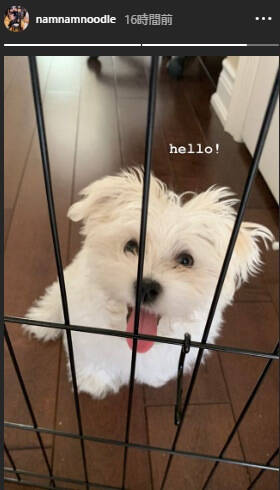 f:id:tanegashimapi:20200728150131j:plain f:id:tanegashimapi:20200728150131j:plain