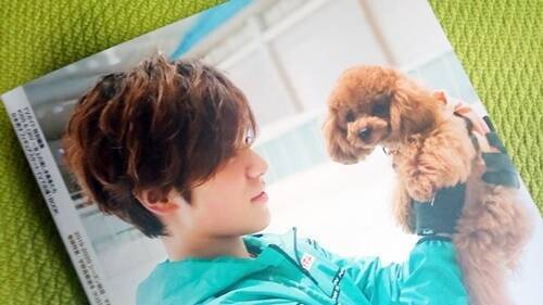 f:id:tanegashimapi:20200816154609j:plain f:id:tanegashimapi:20200816154609j:plain