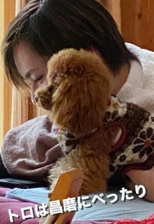 f:id:tanegashimapi:20201017114651j:plain